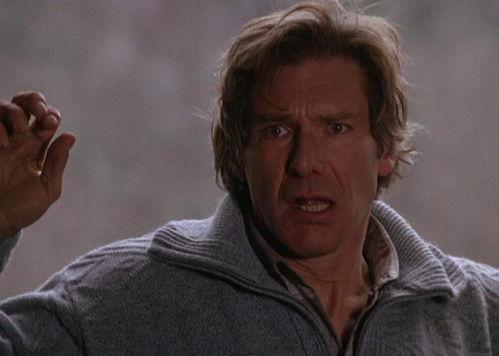 #73. The Fugitive (1993)